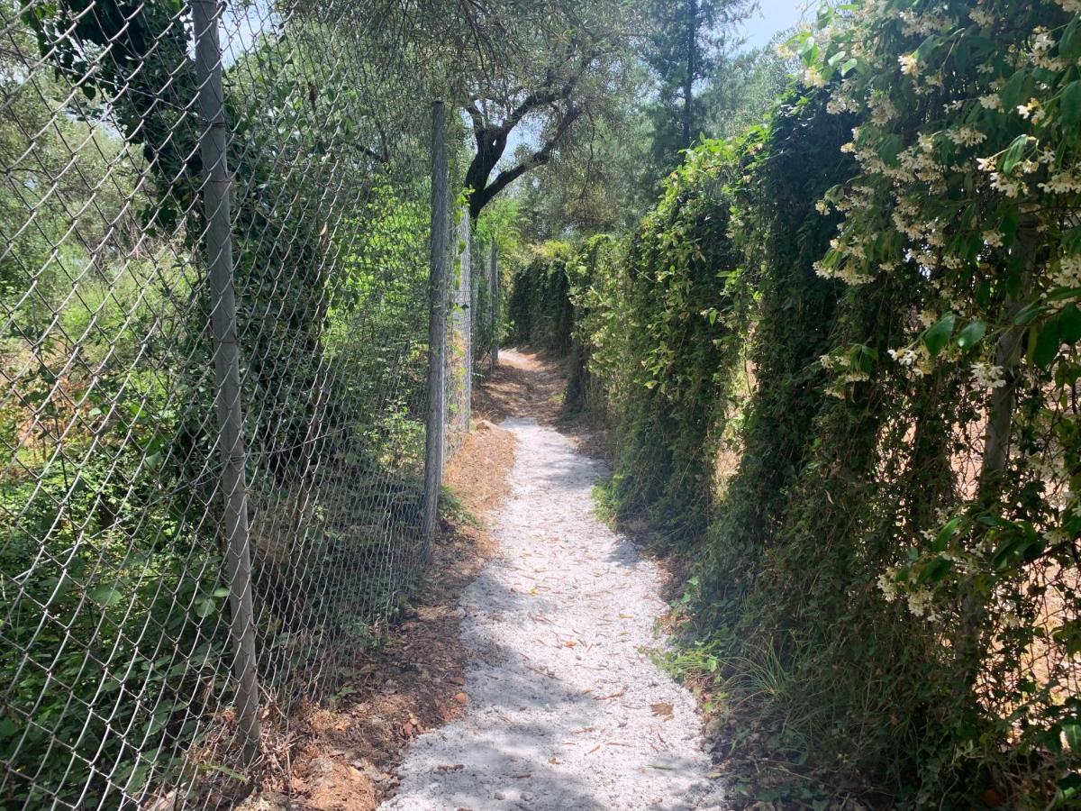 Villa Serena Nisaki  Esterno foto